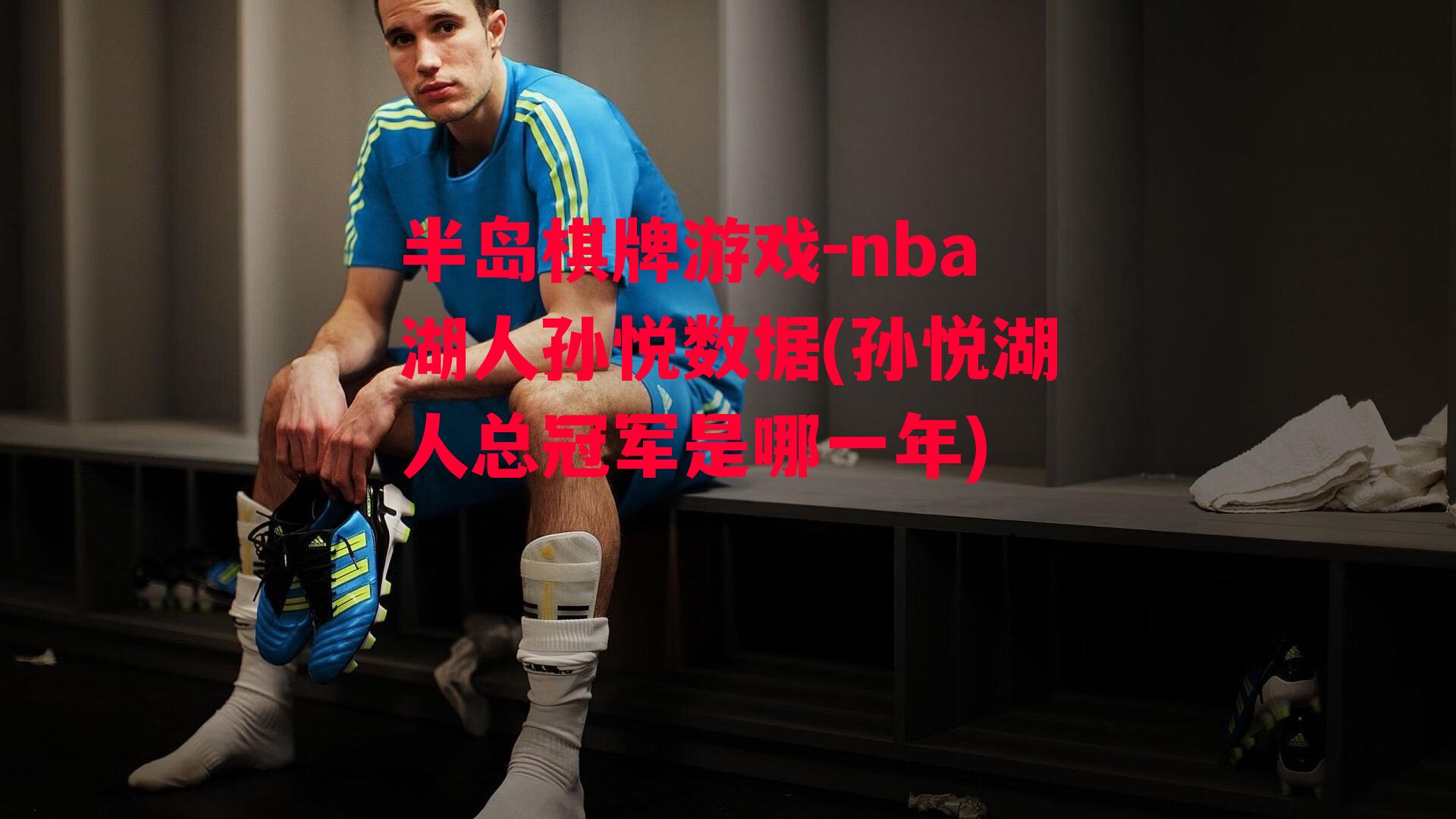 nba湖人孙悦数据(孙悦湖人总冠军是哪一年)