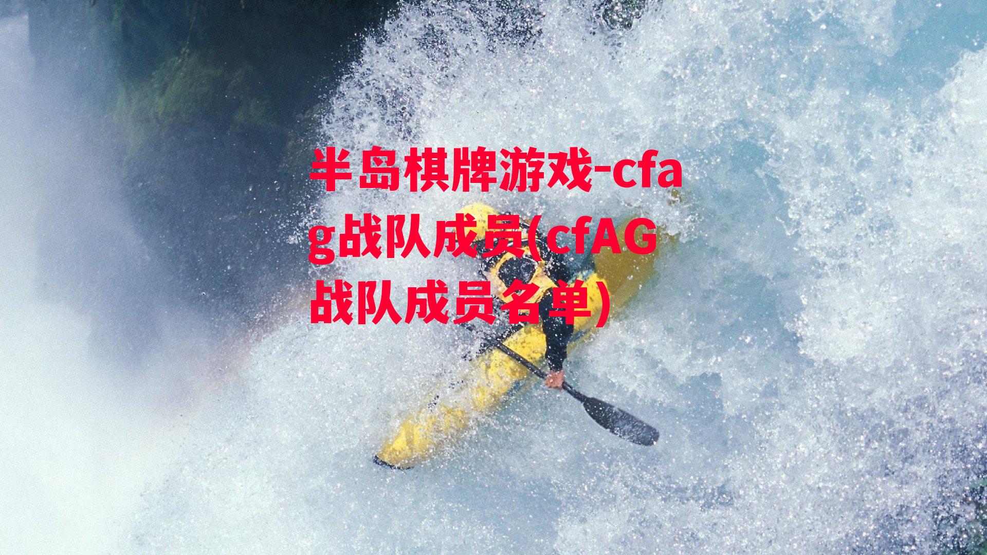 cfag战队成员(cfAG战队成员名单)