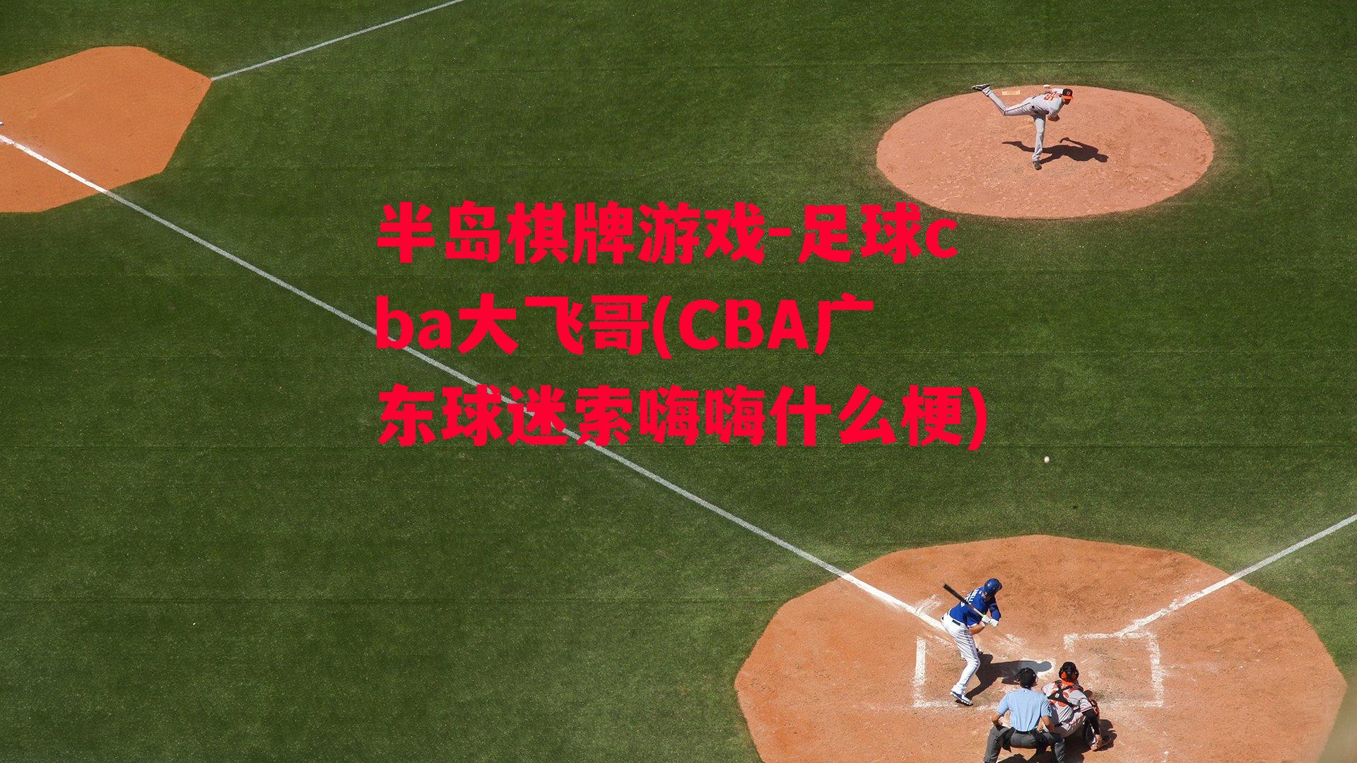 足球cba大飞哥(CBA广东球迷索嗨嗨什么梗)