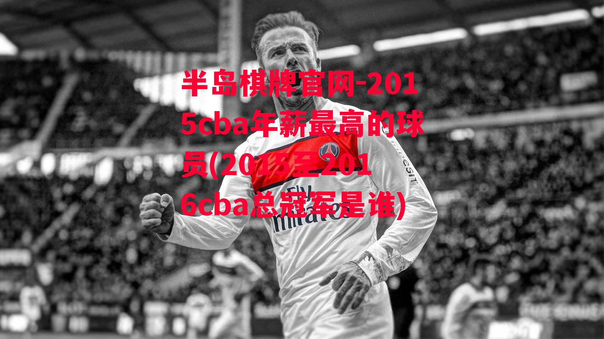 2015cba年薪最高的球员(2015至2016cba总冠军是谁)